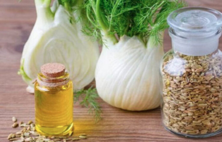 ফেনেল এসেন্সিয়াল অয়েল (মৌরির তেল): মৌরির তেল। এটি গ্যাসের সমস্যা কমিয়ে খাবার হজমে সাহায্য করে। ডায়রিয়ার চিকিৎসাতেও মৌরির তেল খুব উপকারি। কোষ্ঠকাঠিন্যের ক্ষেত্রে এই তেল ভালো কাজ দেয়।