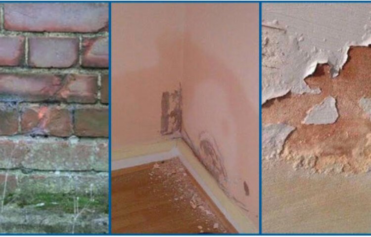 নোনা ধরার লক্ষণ: প্রথম প্রথম দেয়াল ঘেমে যেতে থাকে বা ভেজা ভেজা ভাব চলে আসে। এর কিছুদিন পর দেয়ালে সাদা সাদা আস্তরণ দেখা দেয়। পরবর্তীতে সাদা লবণের ভারি আস্তরণ দেখা দেয় এবং প্লাস্টার ঝরে পড়তে থাকে।