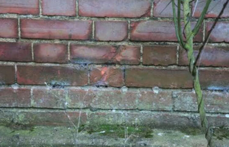 কৃত্রিম উপায়: এক্ষেত্রে প্রথমত গাত্রক পানি নিরোধক ব্যবস্থার মাধ্যমে রোধ করা যায়। এ ব্যবস্থা দু’ভাবে হতে পারে, যেমন- বাইরের দিকের গাত্র এবং ভেতরের দিকের গাত্র। যেহেতু বাইরের দিক থেকেই পানি বুনিয়াদ বা কাঠামোতে প্রবেশ করে।