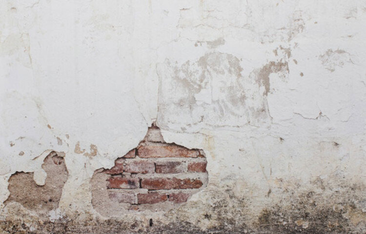 হাউজিং অ্যান্ড বিল্ডিং রিসার্চ ইনস্টিটিউট (এইচবিআরআই) ভবনের নোনা ধরা প্রতিকারের জন্য এইচবিআরআই-এসপি এবং এইচবিআরআই-ডিপি নামে দুটি দ্রবণ উদ্ভাবন করতে সক্ষম হয়েছে। ভবনের যেসব স্থানে নোনা দেখা দিয়েছে; সেসব জায়গার রং, চুন ইত্যাদির প্রলেপ ভালোভাবে সরিয়ে ফেলতে হবে। প্রয়োজনবোধে আক্রান্ত স্থানসমূহ পানি দিয়ে ভালোভাবে ধুয়ে নিতে হবে।