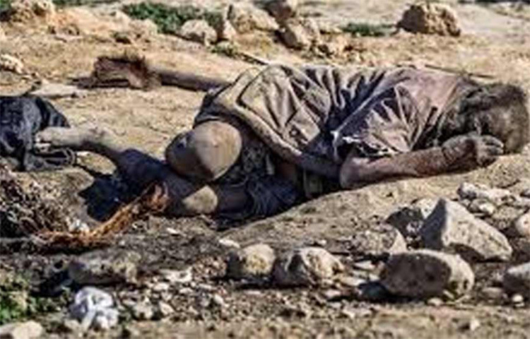 হাজির জীবনযাপন একটু ‘আলাদা’ মনে হচ্ছে? ইরানের সংবাদমাধ্যমের দাবি, যৌবনে মানসিকভাবে আঘাত পাওয়ার পর থেকেই জনশূন্য জায়গায় বসবাস শুরু করেন তিনি। নিজের জীবনযাপনও বদলে ফেলেন বৃদ্ধ! ছবি: সংগৃহীত