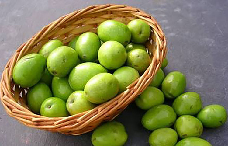 জলপাই ভিটামিনেরই ভালো উৎস। জলপাইয়ে আছে মনোস্যাটুরেটেড ফ্যাট। জলপাইয়ের ভিটামিন ই কোষের অস্বাভাবিক গঠনে বাধা দেয়। ফলে ক্যান্সার হওয়ার ঝুঁকি কমে। ছবি: সংগৃহীত