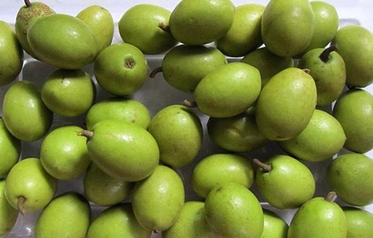 যখন জলপাইয়ের মোনো-স্যাচুরেটেড ফ্যাট অন্য খাবারে বিদ্যমান স্যাচুরেটেড ফ্যাটের বদলে গ্রহণ করা হয় তখন তা দেহের ভেতরের ফ্যাট সেলকে ভাঙতে সাহায্য করে। ছবি: সংগৃহীত জলপাইয়ের তেলেও রয়েছে লো কোলেস্টেরল যা ওজন এবং বøাডপ্রেশার কমাতে সহায়ক। ছবি: সংগৃহীত