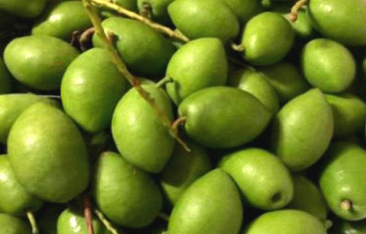 জলপাই বিশেষ করে কালো জলপাই আয়রনের উৎস, আয়রন আমাদের দেহে রক্ত চলাচল করাতে সহায়তা করে, আর প্রাকৃতিক আয়রনের উৎসের জন্য জলপাই সেরা। ছবি: সংগৃহীত