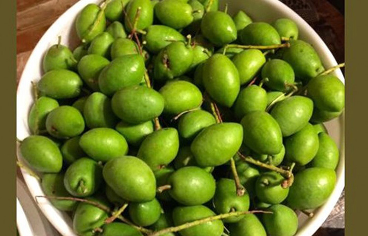 জলপাইয়ে ভিটামিন এ পাওয়া যায়। ভিটামিন এ চোখের জন্য ভালো। যাদের চোখ আলো ও অন্ধকারে সংবেদনশীল তাদের জন্য ওষুধের কাজ করে জলপাই। ছবি: সংগৃহীত