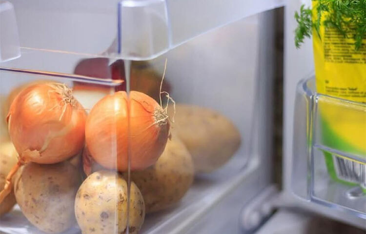 অনেক দেশেই পেঁয়াজকে জাদু সবজি বলা হয়। খাবারে স্বাদ বাড়ানোর পাশাপাশি স্বাস্থ্যগুণও যোগ করে। কিন্তু সমস্যা হলো, পেঁয়াজ খারাপ হয়েছে কি না সেটা বোঝা প্রায় দুঃসাধ্য। সাধারণত রান্নাঘরে বা ফ্রিজে পেঁয়াজ রাখা হয়। দীর্ঘদিন থাকতে থাকতে অজান্তেই খারাপ হতে শুরু করে। কিন্তু পেঁয়াজ পচে গিয়েছে কি না তা পরীক্ষা করা কিছুটা কঠিন। ছবি: সংগৃহীত