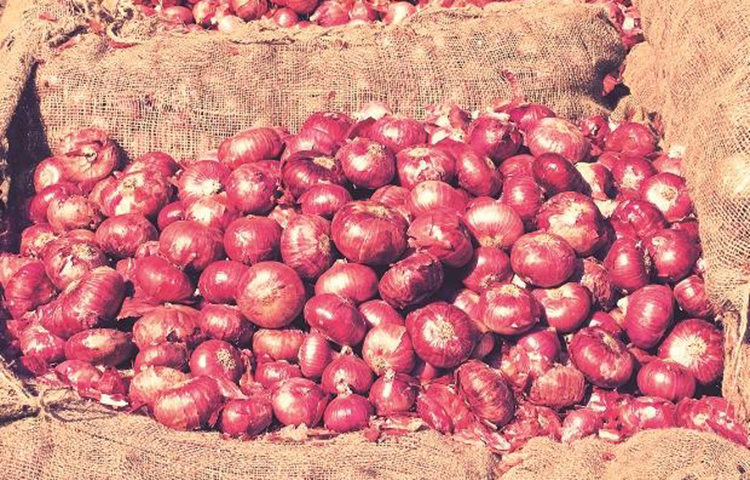 পেঁয়াজের ঔষধি গুণ কী: বিবিসি গুড ফুড তাদের প্রতিবেদনে বলছে, ঐতিহাসিকভাবে পেঁয়াজের রয়েছে ঔষধি ব্যবহার। প্রাচীন আমলে কলেরা এবং প্লেগের প্রতিরোধক হিসেবে ব্যবহার করা হতো পেঁয়াজ। রোমান সম্রাট নিরো ঠান্ডার ওষুধ হিসেবে পেঁয়াজ খেতেন বলেও শ্রুতি রয়েছে। পেঁয়াজে থাকা এলিসিন নামের উপাদান অ্যান্টি-ফাঙ্গাল এবং অ্যান্টি-ব্যাকটেরিয়াল হিসেবে কাজ করে।