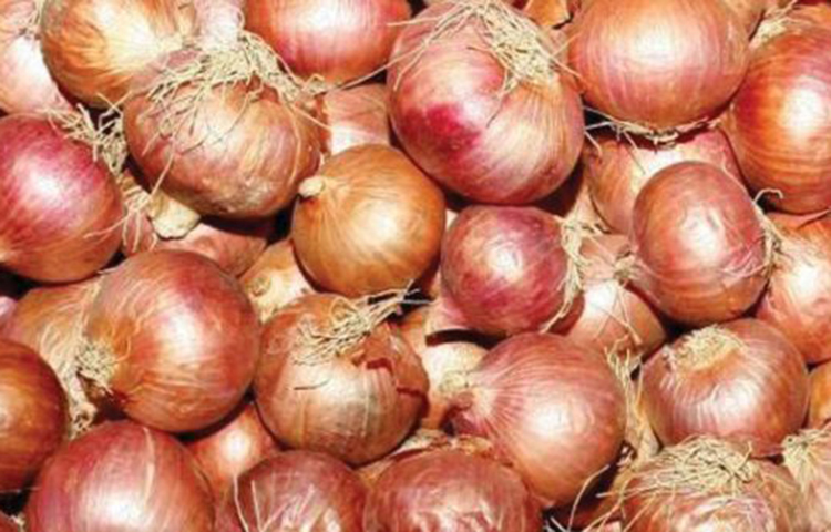 খারাপ কোলেস্টেরলের মাত্রা কমায়: শরীরে ভালো কোলেস্টেরল বা এইচ ডি এল-এর মাত্রা বাড়িয়ে একদিকে যেমন শরীরকে চাঙ্গা রাখে, তেমনি অন্যদিকে খারাপ কোলেস্টরলের পরিমাণ কমিয়ে হার্টের কর্মক্ষমতা বাড়ায়। এইভাবে নিজের বিশেষ ক্ষমতা বলে পেঁয়াজ আমাদের আয়ু বাড়াতে বিশেষভাবে সাহায্য করে থাকে।