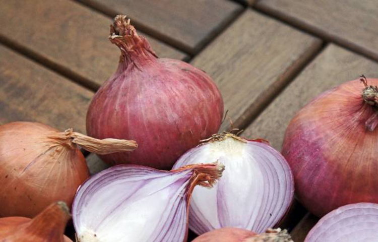 পেঁয়াজ কোথায় উৎপন্ন হয়: এটি এমন একটি উদ্ভিদ যা বিশ্বের প্রায় সব দেশেই উৎপাদিত হয়। তবে বিশ্বে সবচেয়ে বেশি পেঁয়াজ উৎপাদিত হয় ভারত এবং চীনে। সেসব দেশগুলোতেই প্রধানত পেয়াজ হয় যেখানে বেশি বৃষ্টি হয় না। পাশাপাশি হাল্কা শীত থাকে। সেজন্যই বাংলাদেশে পেঁয়াজ হয় শীতকালে। সেসময় দামও কম থাকে।