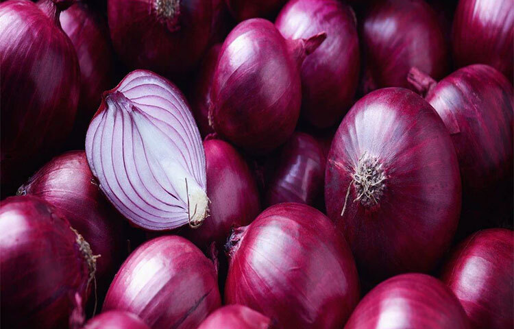 পেঁয়াজের অন্যান্য গুণের মধ্যে অন্যতম হলো ওজন কমাতে সাহায্য করা। লাল পেঁয়াজে আছে কেরেক্টিন। ক্যালোরি কম, সল্যুবল ফাইবারের উৎস হলো লাল পেঁয়াজ। ছবি: সংগৃহীত