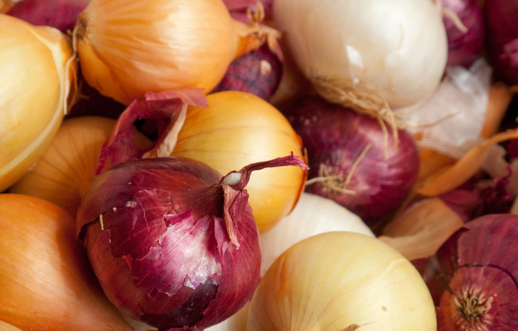 বাংলাদেশের পেঁয়াজের বৈশিষ্ট্য: এটি ঝাঁজালো বেশি হয়। কারণ এতে এলিসিনের মাত্রাটা বেশি থাকে। যা রোগ প্রতিরোধক ক্ষমতা বাড়িয়ে দেয়। এর জন্য আমাদের রান্নাটাও অনেক বেশি মজা হয়। বাংলাদেশে পেঁয়াজের চাহিদা বেশি থাকায় সারা বছর পেয়াজ উৎপাদনের চেষ্টা করা হচ্ছে। এর জন্য বৃষ্টি নিয়ন্ত্রণের মাধ্যমে পলি-টানেল বা গ্রিন হাউজ তৈরি করে পেঁয়াজ উৎপাদনের চেষ্টা করা হচ্ছে।