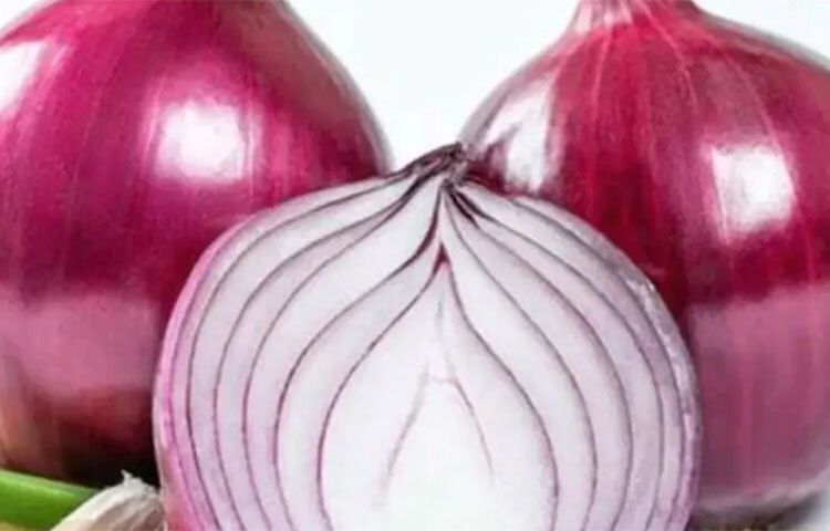 পেঁয়াজে আছে প্রচুর পরিমাণে অ্যান্টি অক্সিড্যান্ট। ফলে মেটাবলিজমের হার বাড়ে। তাই পেঁয়াজের রস খেলে ওজন কমে। সকালে খালি পেটে মধু ও পেঁয়াজের রস শরীরের ওজন কমাতে কার্যকর। ছবি: সংগৃহীত