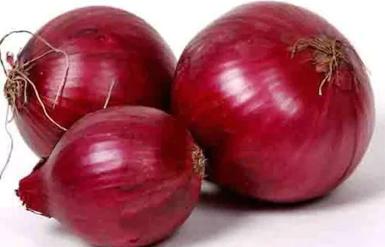 ওজন হ্রাসের জন্য সালাদ অতুলনীয়। ক্যারামেলাইজড পেঁয়াজ সালাদে দিলে একদিকে ওজন নিয়ন্ত্রিত হয়। পরিপাক ক্রিয়াও উন্নত হয়। ছবি: সংগৃহীত