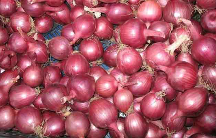 স্মৃতিশক্তির উন্নতি ঘটায়: সম্প্রতি প্রকাশিত একটি গবেষণাপত্র অনুসারে নিয়মিত কাঁচা পেঁয়াজ খেলে ব্রেন পাওয়ার বৃদ্ধি পেতে শুরু করে। ফলে স্মৃতিশক্তির যেমন উন্নতি ঘটে, তেমনি নার্ভাস সিস্টেমের কর্মক্ষমতা বৃদ্ধি পাওয়ার কারণে একাধিক ব্রেন ডিজিজ হওয়ার আশঙ্কাও হ্রাস পায়।