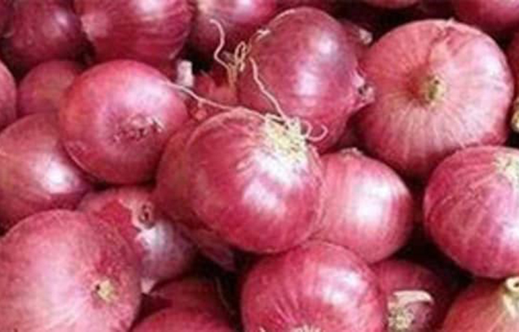 ক্যান্সারের মতো রোগকে দূরে রাখে: ব্রেন, কোলোন এবং ঘারের ক্যান্সারে আক্রান্ত হওয়ার সম্ভাবনা একেবারে শূন্যতে এসে দাঁড়ায় যদি প্রতিদিন পেঁয়াজ খাওয়া যায়। কারণ এই মসলাটিতে উপস্থিত বেশ কিছু উপাদান শরীরে ক্যান্সার কোষের জন্ম হতে দেয় না। ফলে এমন ধরনের মারণ রোগ ধারে কাছেও ঘেঁষতে পারে না।