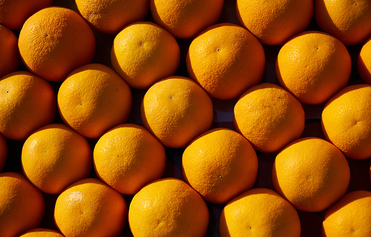 কমলালেবু ভিটামিন সি-তে ভরা। ফলে সর্দি-কাশির নিরাময়ে কমলালেবুর জুড়ি নেই। ছবি: সংগৃহীত