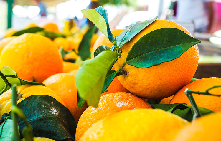 নিয়মিত কমলালেবু খেলে সংশ্লিষ্ট ব্যক্তির কিডনিতে স্টোন জমার প্রবণতা কমে। ছবি: সংগৃহীত