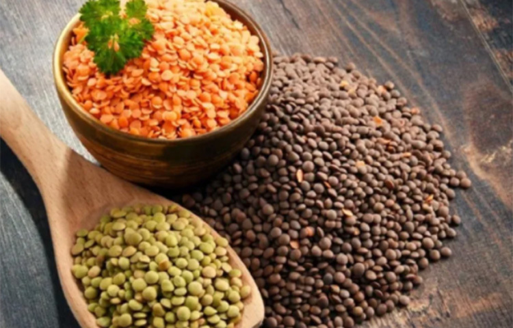 অটিস্টিকরা আই কনট্যাক্ট করতে পারে না। থেরাপির সাহায্যে এই সমস্যা কাটিয়ে ওঠা সম্ভব। বাড়িতেও দুপ্রকার ডাল মিশিয়ে দিয়ে ওদের আলাদা করতে দিতে পারেন। এইসব ছোট ছোট কাজে মনসংযোগ করতে করতে ওদের আই কন্ট্যাক্ট করার অভ্যাস তৈরি হবে। ছবি: সংগৃহীত