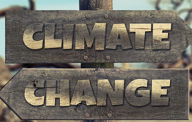 কলোরাডো বোল্ডার বিশ্ববিদ্যালয়ের সিআইআরইএস-এর সহযোগী পর্যবেক্ষক অন্তরা ব্যানার্জী জানিয়েছেন, দক্ষিণ গোলার্ধে পরিবেশের সঙ্গে সঙ্গে আবহাওয়ার পরিবর্তন লক্ষ করা গিয়েছে।