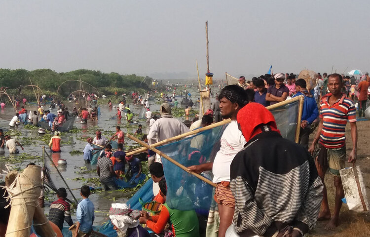 বুধবার (২ ডিসেম্বর) ভাঙ্গুড়া উপজেলার মন্ডুতোষ ইউনিয়নের রুহুল বিলে সরেজমিন গিয়ে দেখা যায়, বর্ষার পানি নেমে যাওয়ায় অনেকটাই পানিশূন্য বিল বুক চিতিয়ে দিয়েছে। মূল বিল ও খালে কিছু পানি অবশিষ্ট রয়েছে। এ সময়ই এ এলাকার শৌখিন মানুষেরা যোগ দিয়েছেন গ্রামবাংলার ঐতিহ্যবাহী ‘পলো উৎসবে।’ ছবি: জাগো নিউজ