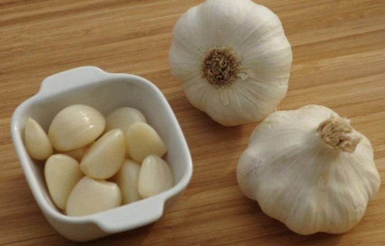 কাঁচা রসুনের অ্যান্টি সেপটিক উপাদান গলার সংক্রমণে খুবই কার্যকর। কাঁচা রসুন চটকে নিলে অ্যালিসিন নির্গত হয়। এই উপাদানের গন্ধই আমরা পাই। গলার সংক্রমণ দূর করতে রসুনের অ্যান্টিব্যাকটেরিয়াল, অ্যান্টিফাঙ্গাল, অ্যান্টিভাইরাল বৈশিষ্ট্য খুবই কার্যকর। ছবি: সংগৃহীত