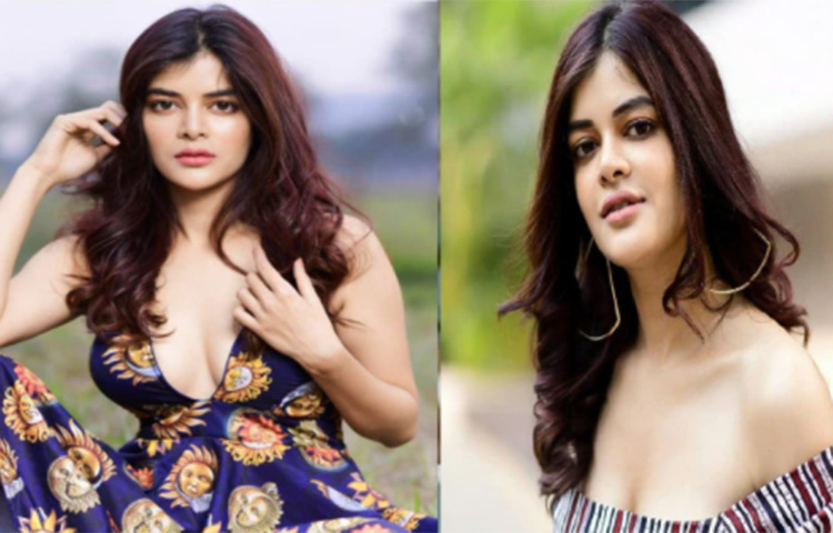 ধারাবাহিকের সেই পাখি এখন অনেক বড়! আর তার রূপে মুগ্ধ গোটা ইন্টারনেট দুনিয়া। ছবি: সংগৃহীত