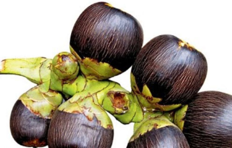 তাল খেলে হজম শক্তি বৃদ্ধি পায়।