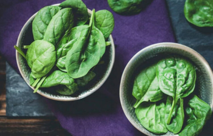 পালং শাকে আছে ভিটামিন এ, ক্যারোটিনের মতো অ্যান্টি অক্সিড্যান্ট, যা মস্তিষ্ক ভালো রাখে।