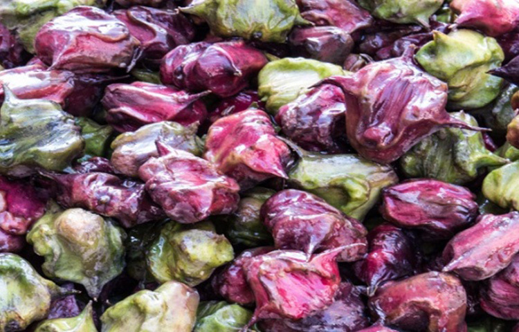 পটাশিয়াম, জিঙ্ক, ভিটামিন বি এবং ভিটামিন ই থাকার ফলে পানিফল চুলের জন্য উপকারী। ছবি: সংগৃহীত