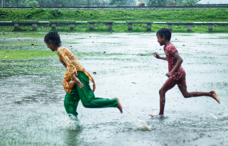 শ্রাবণের বৃষ্টি ভেজা এ ছবি বগুড়া থেকে ক্যামেরাবন্দি করা হয়েছে। ছবি: সাজেদুর আবেদীন শান্ত