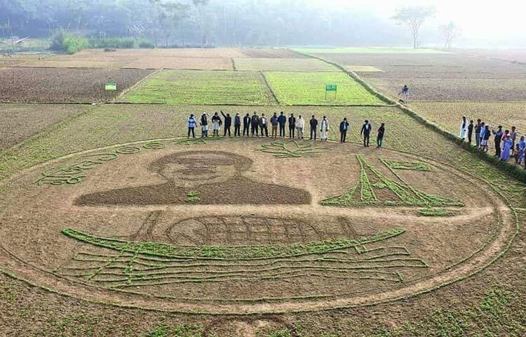 ময়মনসিংহের ঈশ্বরগঞ্জ উপজেলার আঠারবাড়ির পাড়াখালবলা গ্রামের হাজি তারা মিয়ার ছেলে আব্দুল কাদির বঙ্গবন্ধুকে ভালোবেসে সবজির মাঠে এই ছবি এঁকেছেন। ছবি: সংগৃহীত