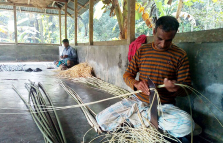 ঝালকাঠির রাজাপুর উপজেলার হাইলাকাঠি গ্রামে ৭৫টি পরিবার রয়েছে, যারা শীতলপাটি তৈরি ও বিক্রি করেই জীবিকা নির্বাহ করেন। পাটি গাছের বাগান ও শীতলপাটি বুননের খ্যাতির কারণে গ্রামটি ‘পাটিগ্রাম’ এবং এ কাজে যারা জড়িত তারা ‘পাটিকর’ হিসেবে এলাকায় পরিচিত। এছাড়া ঝালকাঠিতে মোট ১১টি গ্রামের দুই শতাধিক পরিবার এ কাজের মাধ্যমে জীবিকা নির্বাহ করেন। ছবি: জাগো নিউজ