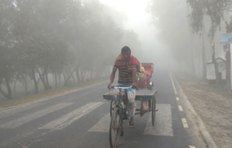 উত্তরাঞ্চলের সীমান্তঘেঁষা জেলা কুড়িগ্রামে জেঁকে বসেছে শীত। হিমালয়ের নিকটবর্তী এ জেলার সর্বত্র ঢাকা পড়েছে ঘন কুয়াশায়। রাতে ও সকালে টুপটাপ শব্দে ঝরছে শিশির। আর সকালে ধানের শিষে জমে থাকা শিশিরের ফোটাই বলে দিচ্ছে শীত এসে গেছে। ছবি: জাগো নিউজ