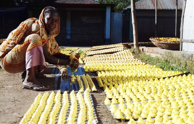 হরেক রকম ডাল দিয়ে এ বড়ি তৈরি হলেও অ্যাংকর ও মাসকলাই ডালের বড়ির চাহিদা একটু বেশি। দেশের বিভিন্ন অঞ্চলে সরবরাহসহ বিদেশেও যাচ্ছে পাবনার চাটমোহরের কুমড়ার বড়ি। ছবি: জাগো নিউজ
