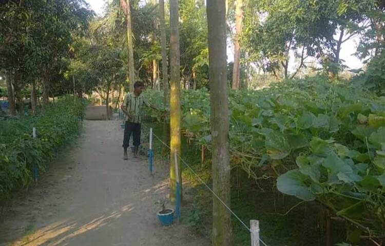 কুড়িগ্রাম সদর উপজেলার ভোগডাঙ্গা ইউনিয়নের কাঁচিচর এলাকার চরমাধবরাম গ্রামের মৃত নায়েব আলীর ছেলে মো. আব্দুল জলিল। তিনি পেশায় একজন দিনমজুর। দীর্ঘদিন দেশের বিভিন্ন জেলায় কৃষি জমিতে দিনমজুরের কাজ করেছেন। ছবি: জাগো নিউজ