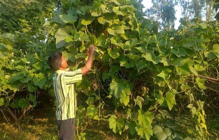 জলিল দিনমজুরের কাজ করে আয়ের টাকা থেকে পরিবারের কাছে কিছু অংশ পাঠিয়ে বাকি টাকা জমা করেছেন। ছবি: জাগো নিউজ