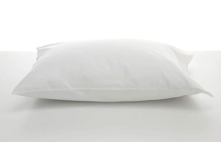 শিরদাঁড়ার ব্যথা, মাথা ও বাকি শরীরের তল বদলে দেয় বালিশ। যার সবচেয়ে বেশি প্রভাব পড়ে আপনার শিরদাঁড়ায়। যারা শিরদাঁড়ার ব্যাথায় কাবু তারা বালিশ ছেড়ে দিলেই এর সুফল অনুভব করতে পারবেন কিছুদিনেই। ছবি: সংগৃহীত