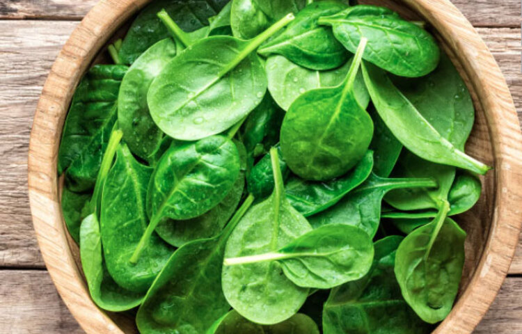 এখন বাজারে প্রচুর পালং শাক পাওয়া যাচ্ছে। শুধু যে খেতেই ভালো তা নয়, পালং শাকের রয়েছে আরও হাজারটা গুণ। এক কাপ পালং শাক শরীরের দৈনিক ফাইবার চাহিদার ২০% পূরণ করে। পাশাপাশি, ভিটামিন এ ও কে-তে ভরপুর। রয়েছে প্রোটিন, ভিটামিন সি, ভিটামিন ই, আয়রন, ক্যালসিয়াম, পটাশিয়াম, ম্যাগনেশিয়াম, ম্যাঙ্গানিজ, জিংক, ফলিক অ্যাসিড ও সেলেনিয়াম। সুস্থ থাকার জন্য এই উপাদানগুলো খুবই জরুরি।