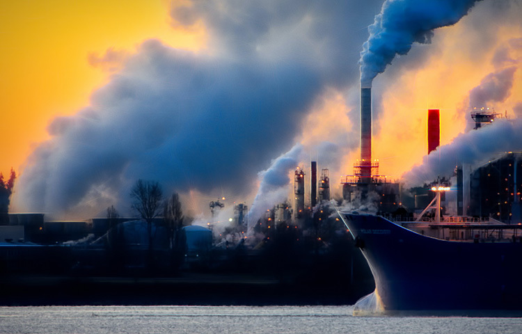 কিন্তু এই অসুস্থতার সম্ভাবনা কমাতে পারে বেশ কয়েকটি ভিটামিন। বিশেষজ্ঞরা বলছেন, এই শীতে আপনার ডায়েটে রাখুন ভিটামিন এ, ডি ও সি। এই ভিটামিন সমৃদ্ধ খাবার আপনার ফুসফুসের কলা-কোষকে ক্ষয়ের হাত থেকে বাঁচায়। শ্বাসকষ্টও কমায়। ছবি: সংগৃহীত