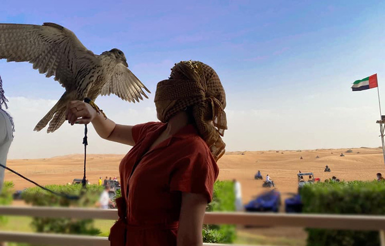 সম্প্রতিসোশ্যাল মিডিয়ায় প্রকাশিত কিছু ছবিতে দেখা যায়-একটি বাজপাখি পরীমনির হাতে বসে আছে। ছবি: ফেসবুক