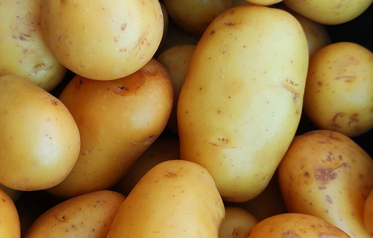 অনেক মানুষই জানেন আলুতে সব থেকে বেশি ব্লাড প্রেশার বাড়তে পারে। অর্থাৎ যাদের ব্লাডপ্রেশার বা উচ্চ রক্তচাপ সম্পন্ন মানুষদের আলু বেশি করে খাওয়াটা অত্যন্ত ক্ষতিকারক। তাই মাত্রাতিরিক্ত আলু না খাওয়া উচিত। ছবি: সংগৃহীত