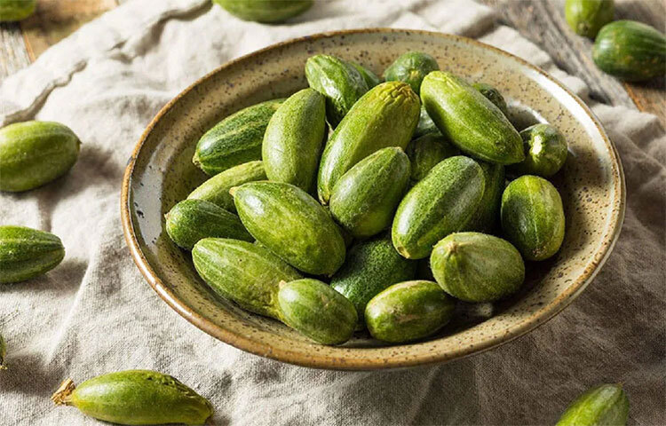 যেভাবেই হোক পটল খেলে বিভিন্ন রোগ সারে। এটা একটি পুষ্টিকর খাদ্য। এতে ভিটামিন বি-১, বি-২ এবং ক্যালসিয়াম থাকে। মাথা ব্যথা থেকে ওজন কমাতে পটলের বিকল্প নেই। ছবি: সংগৃহীত