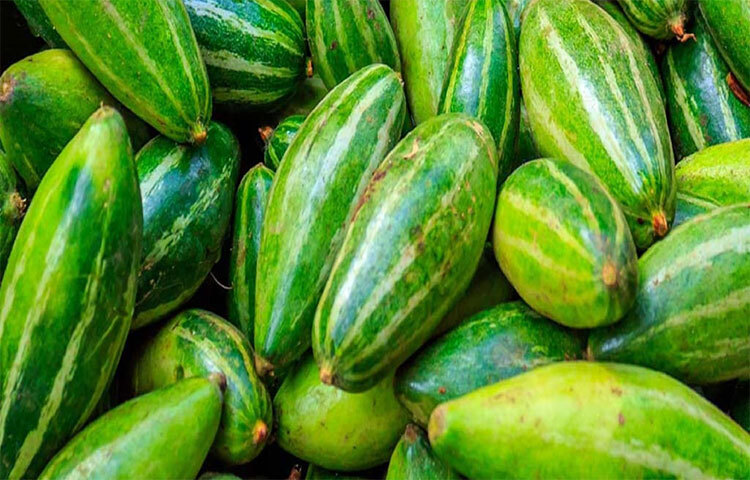 পটলে পর্যাপ্ত পরিমাণে ফাইবার রয়েছে যা খাবার হজম করতে সাহায্য করে। এছাড়াও, গ্যাস্ট্রোইনটেস্টাইনাল ও লিভারেরসমস্যা সমাধানে এক্সপার্ট। পাশাপাশি পটলের বীজ কোষ্ঠকাঠিন্য কমায়। পটল ও ধনেপাতা থেঁতলে পানিতে ভিজিয়ে রাখুন। এই মিশ্রণটিকে ৩ ভাগ করে এর সঙ্গে মধু মিশিয়ে দিনে ৩ বার খান। হজমের সমস্যা দূর হয়ে যাবে। ছবি: সংগৃহীত