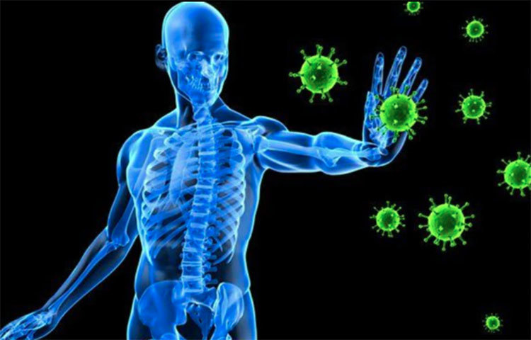 অনেকেরই মাঝে মধ্যে অ্যালার্জির সমস্যা দেখা দেয়। আবহাওয়ার পরিবর্তনের ফলে জ্বর-জ্বালাতেও ভুগতে হয়। যদি কোনো খাবার খেলে ত্বকে জ্বালা, চুলকানির মতো অস্বস্তি শুরু হয়, যদি চোখ থেকে সব সময় জল পড়তে থাকে আর পেটের সমস্যা হঠাৎ করে বেড়ে যায়, তবে তা দুর্বল প্রতিরোধ ক্ষমতার লক্ষণ হতে পারে। এ ক্ষেত্রে চিকিৎসকের পরামর্শ নেয়া জরুরি।