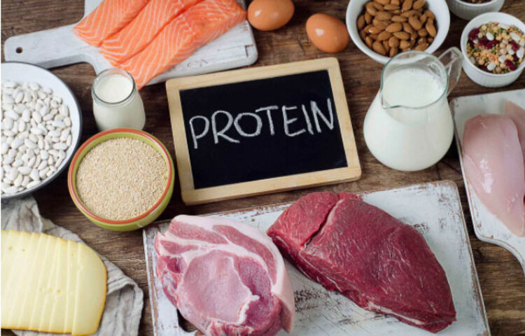 নির্দিষ্ট পরিমাণ প্রোটিন প্রয়োজন শরীরের। অনেকেই খাবারের পুষ্টিগুণ না জেনে, সাধারণ খাবারই ডায়েটে রাখেন। কিন্তু এক্ষেত্রে যদি সেই ডায়েটে প্রোটিনের অভাব থাকে, তা হলে কিন্তু তা শরীরে প্রভাব ফেলতে পারে। প্রোটিনের অভাবের জন্য একাধিক শারীরিক অসুস্থতা তৈরি হতে পারে। Scientific Reports-এ প্রকাশিত ২০১৬ সালের একটি সমীক্ষা বলছে, মেটাবলিজম, এনার্জি ও খাওয়া-দাওয়ায় প্রভাব ফেলে প্রোটিন।