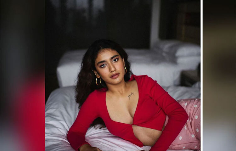 প্রিয়াকে দেখা যাবে ‘বিষ্ণু প্রিয়া’ ছবিতে। এইটি একটি কন্নড় ছবি। ২৫ জুলাই প্রেক্ষাগৃহে মুক্তি পেতে চলেছে এই ছবিটি। এটি একটি রোমান্টিক ড্রামা। ছবিটি বেঙ্গালুরু, মহীশূর এবং চিকমাগালুরের মতো শহরে শুটিং করা হয়েছে। ছবি: সংগৃহীত