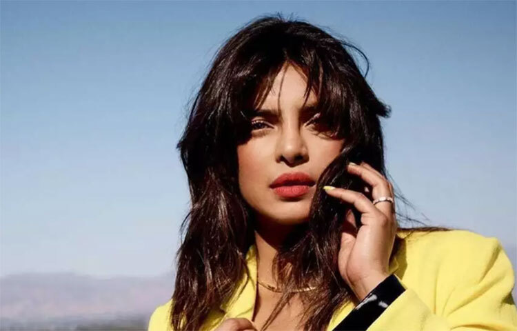 প্রিয়াঙ্কার দোকানের সালাদ পরিবেশন করার প্লেটের দাম ভারতীয় মুদ্রায় প্রায় ৩,৮০০ টাকা। ছবি: সংগৃহীত