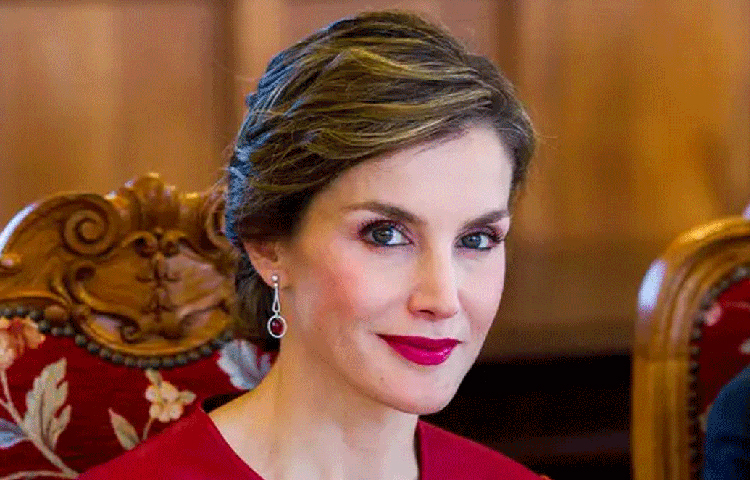 লাতিজিয়া অরতিজ ১৯৭২ সালে ১৫ সেপ্টেম্বর স্পেনের এক মধ্যবিত্ত পরিবারে জন্ম। মাদ্রিদের পাবলিক স্কুলে পাড়শোনা। আন্তর্জাতিক রাজনীতিতে স্নাতক। তারপর সাংবাদিকতা শুরু করেন।