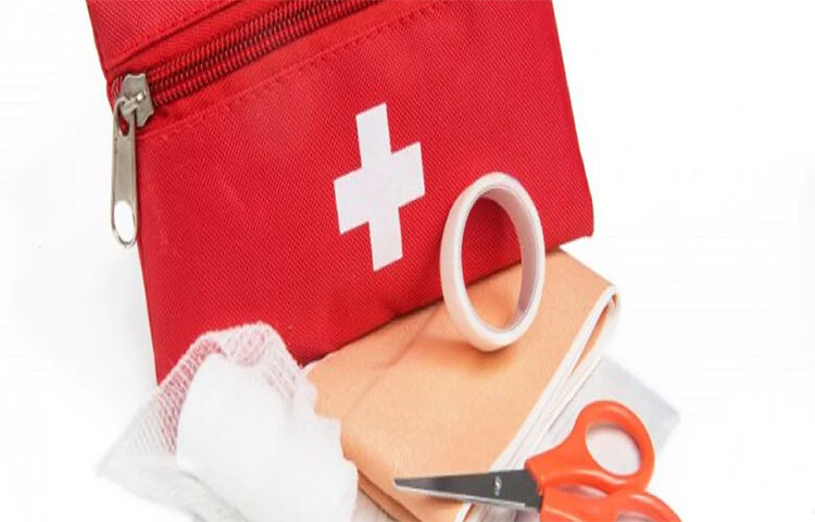 কিছু ফার্স্ট এইড সাপোর্ট রাখতেই হবে। বর্ষাকালে মশার সমস্যা থেকে ডেঙ্গু, ম্যালেরিয়া, স্কিন ডিসিস থেকে ভিন্ন শুরু করে বেশ কিছু রোগ হয়। সেগুলোর জন্য প্রস্তুতি নিতে হবে। ছবি: সংগৃহীত