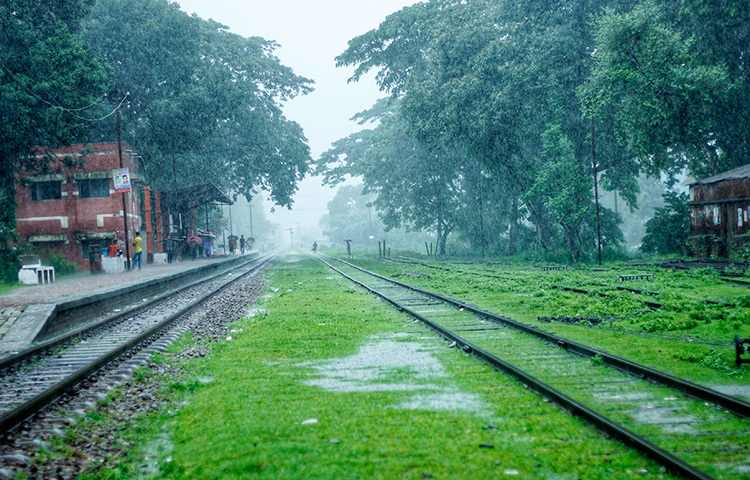 আহা কী সুন্দর বৃষ্টির দিন! মনে হচ্ছে যেন আকাশ ভেঙে বৃষ্টি পড়ছে। ছবি: সাজেদুর আবেদীন শান্ত